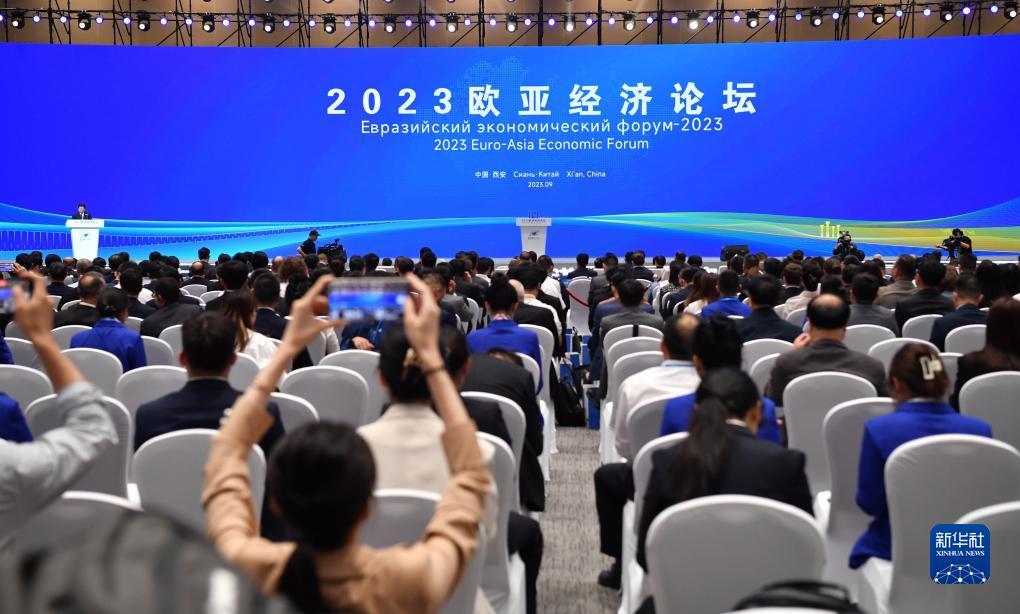 mg网站网络